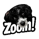 Floop